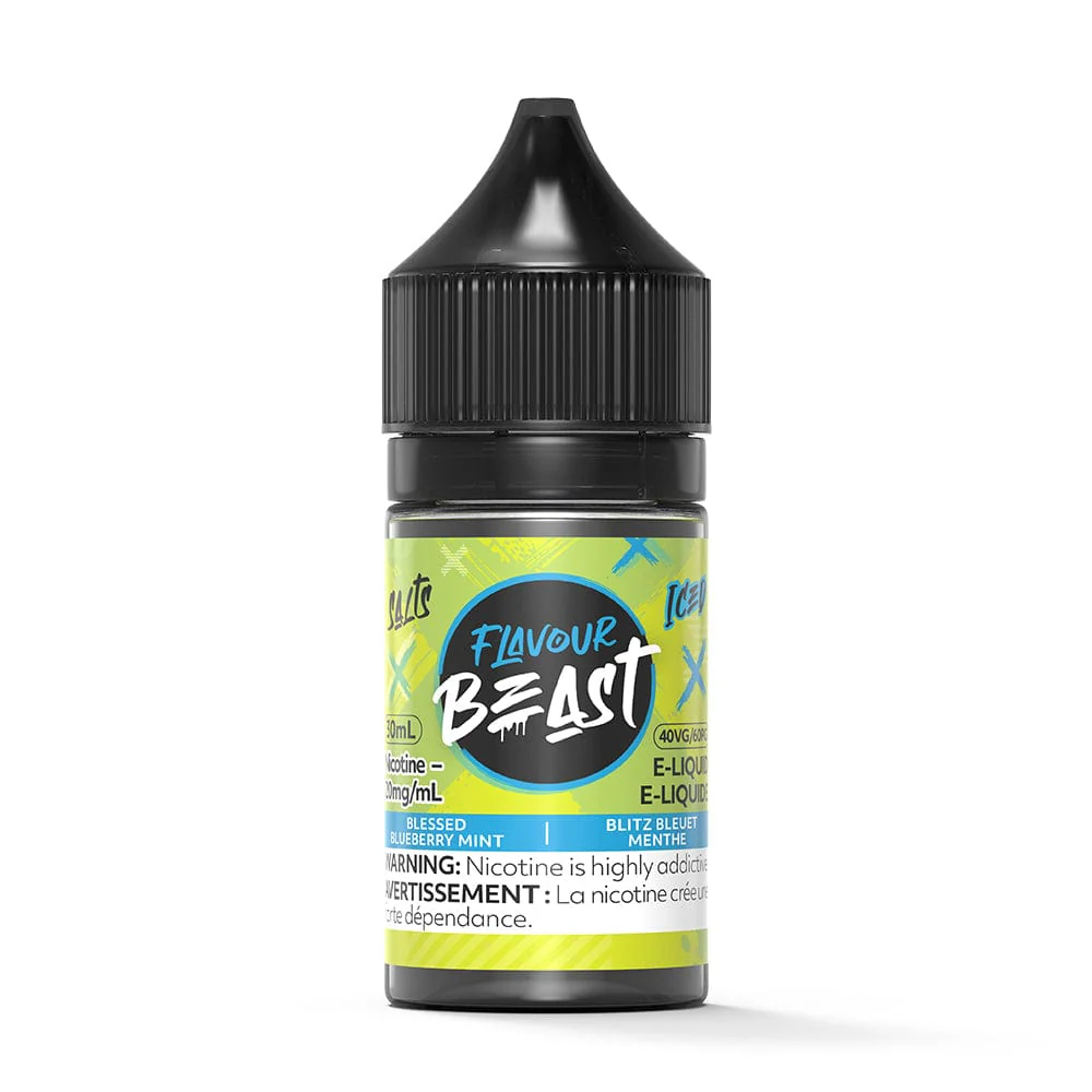 Blessed Blueberry Mint Iced Nic Salt E-Liquid
