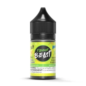 Slammin' STS Iced Nic Salt E-Liquid